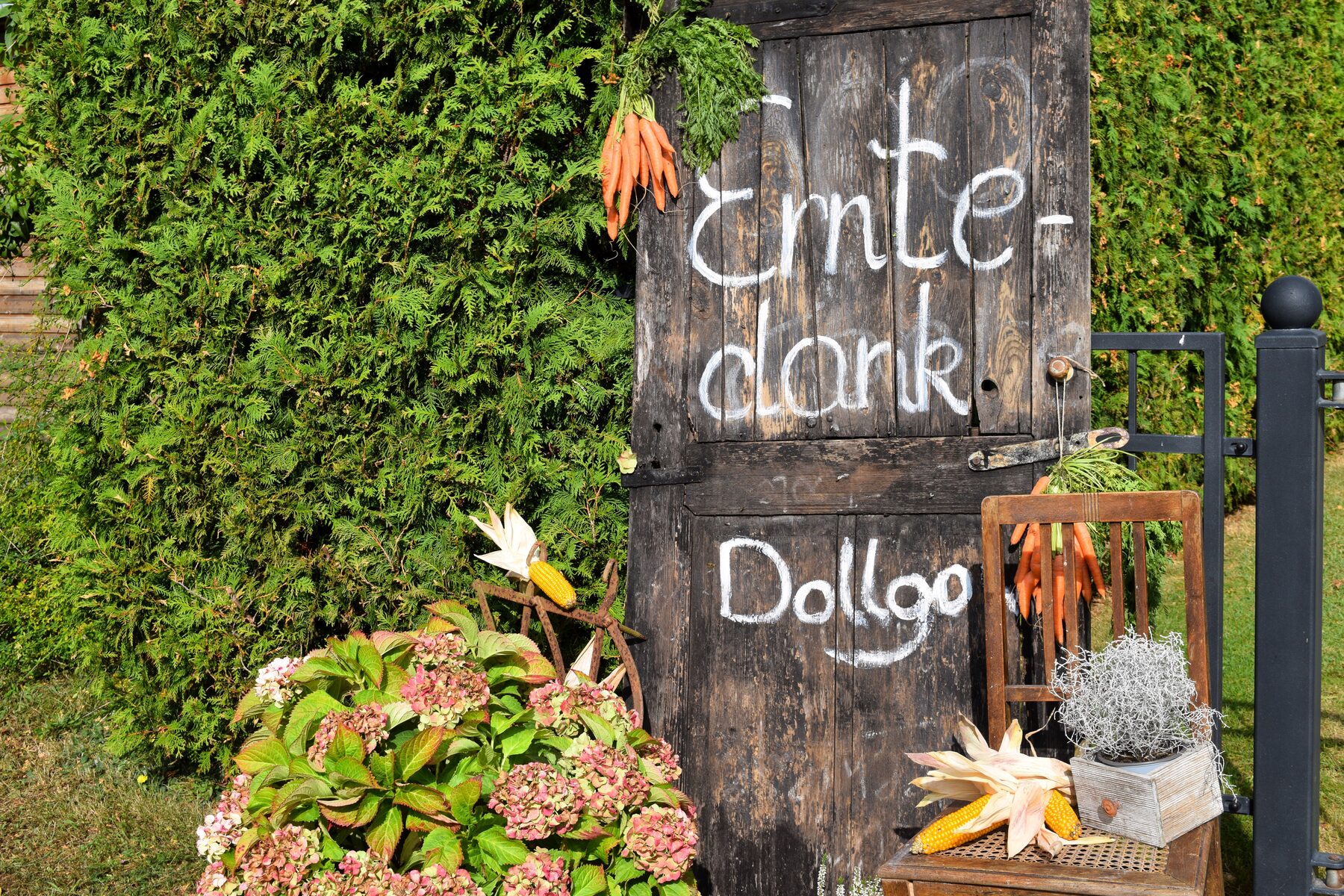 Impression vom Erntefest 2025 in Dollgow – Bild 1